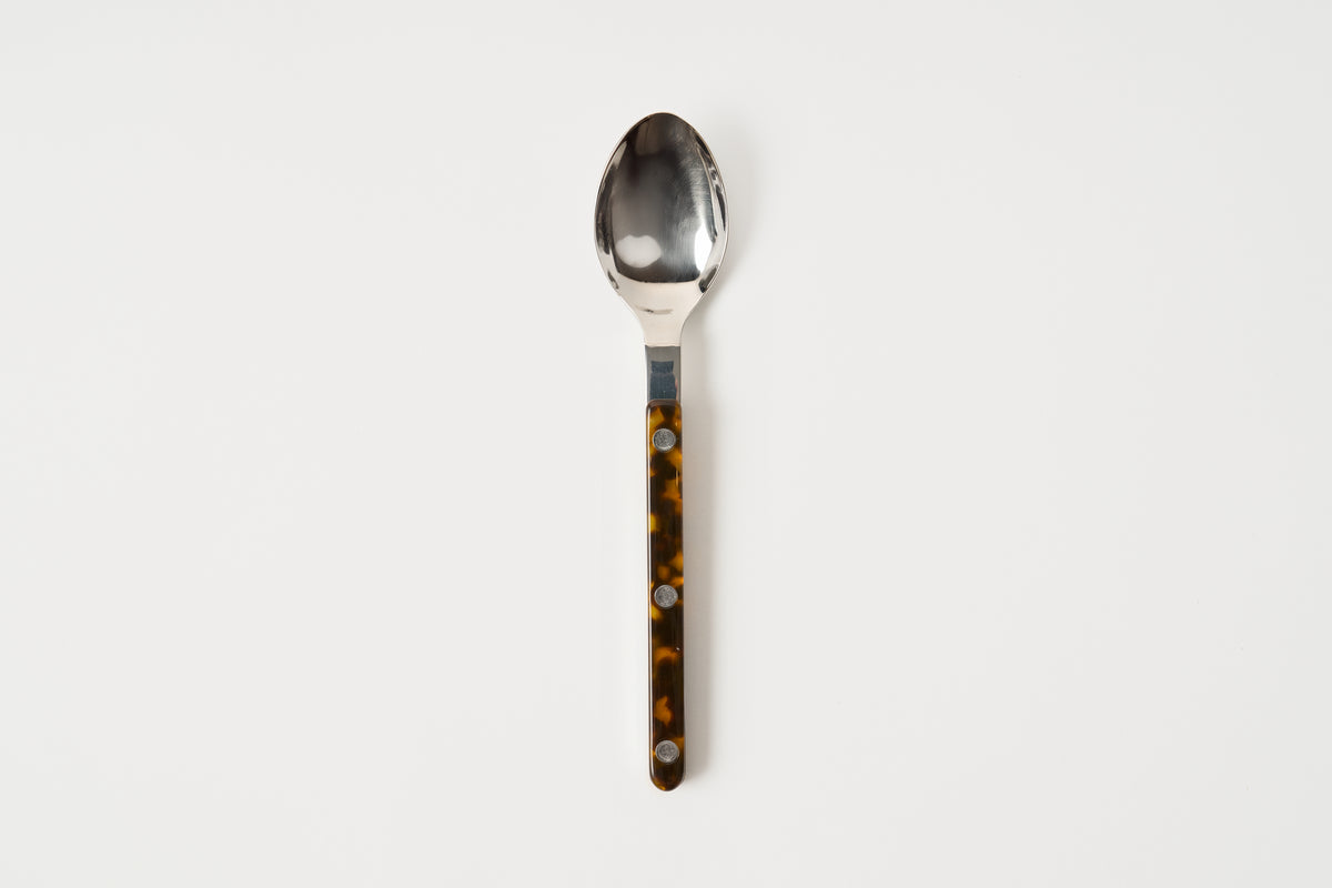 Spoon with a tortoiseshell handle on a white background