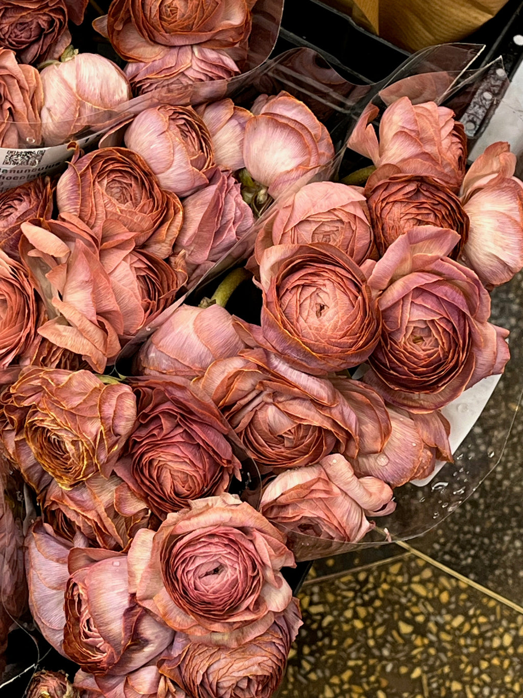 Current Fines No. 47, 01.26