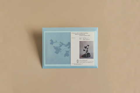 Helleborus Postcard Set