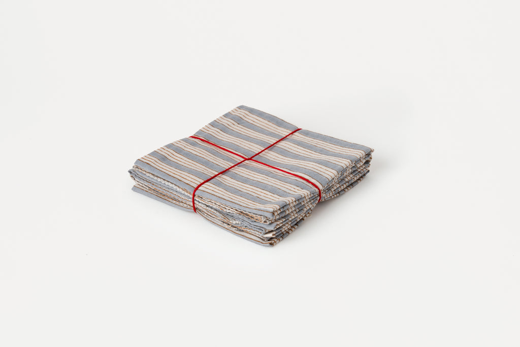 Salem Arctic Set of 4 Napkins