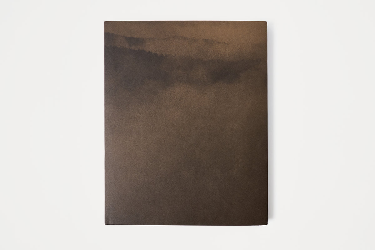 Brown rectangular object on a white background