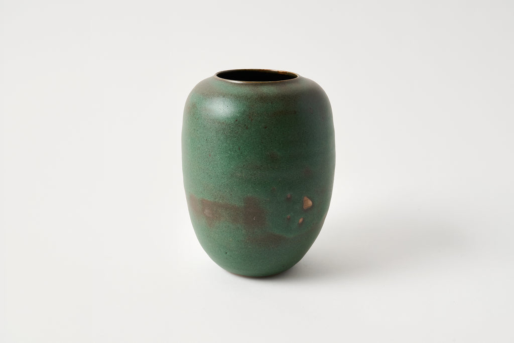 Mãng Cầu Vase B - Moss