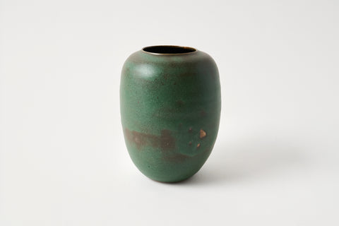 Mãng Cầu Vase B - Moss